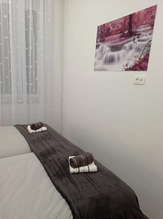 Apartman Cezar Leilighet Rijeka Eksteriør bilde