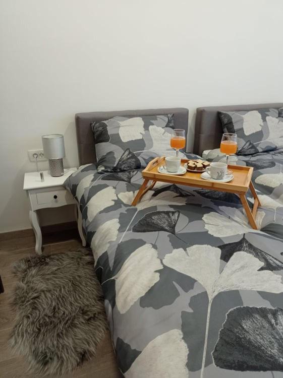 Apartman Cezar Leilighet Rijeka Eksteriør bilde